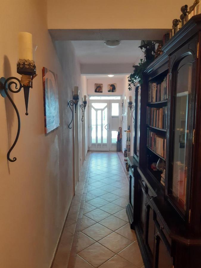 Apartament Pansion Ana Podaca Zewnętrze zdjęcie